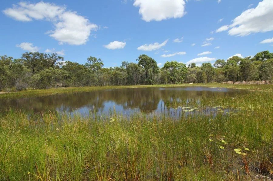 Additional image 24 of 9 Coe Road, Deepwater QLD 4674