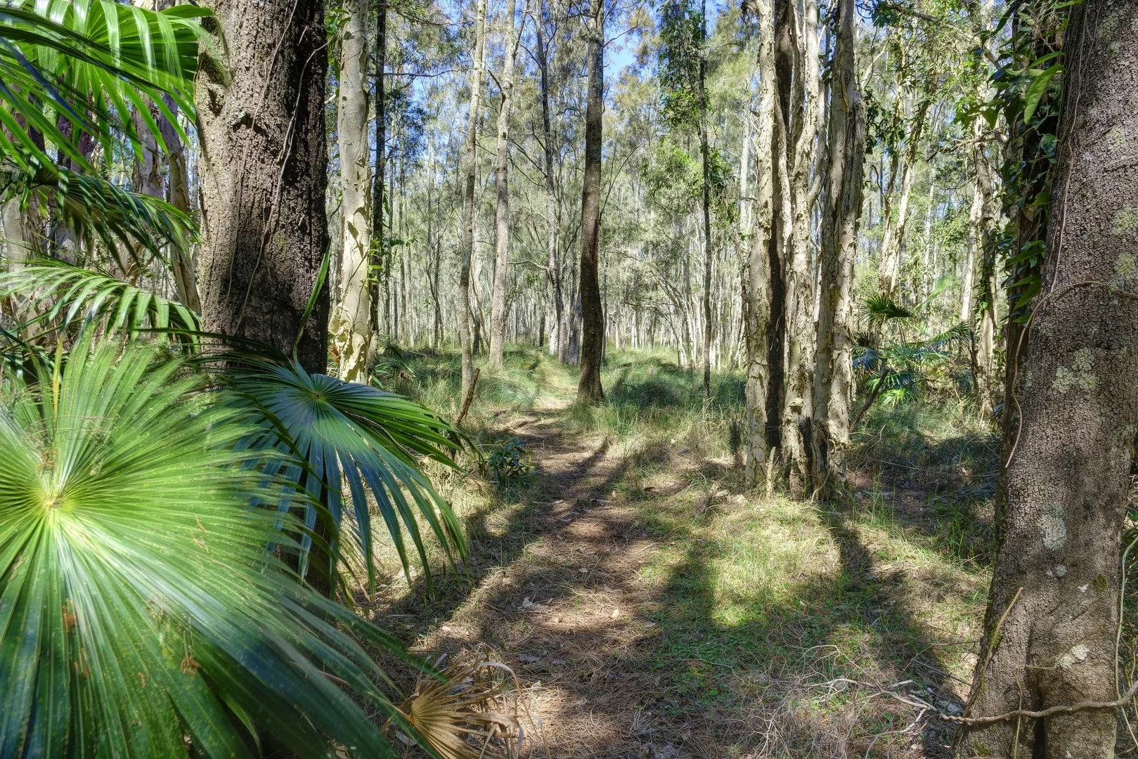 Additional image 11 of 72 Pitchfork Place, Shallow Bay NSW 2428