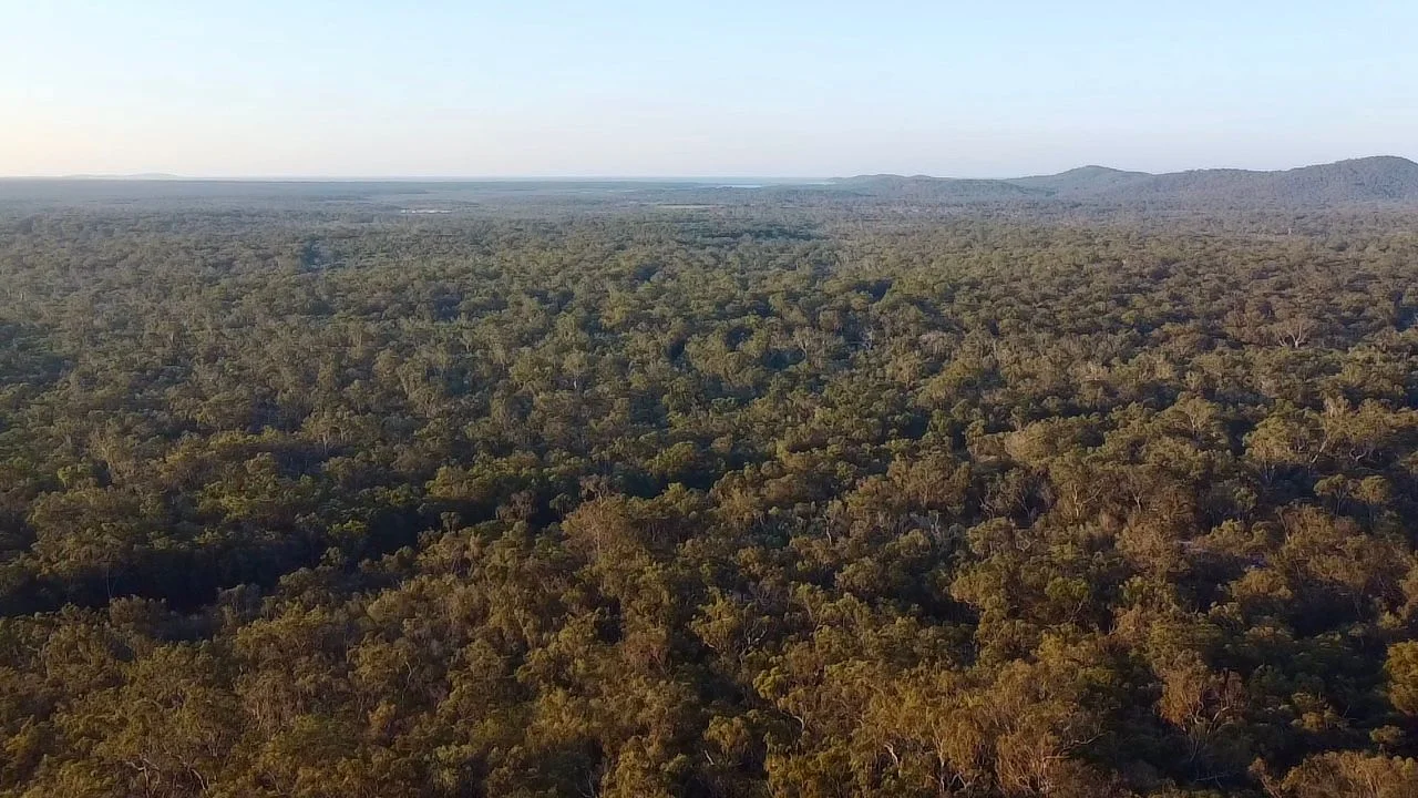 Additional image 14 of Lot 35/191 Bootmaker Drive, Round Hill QLD 4677