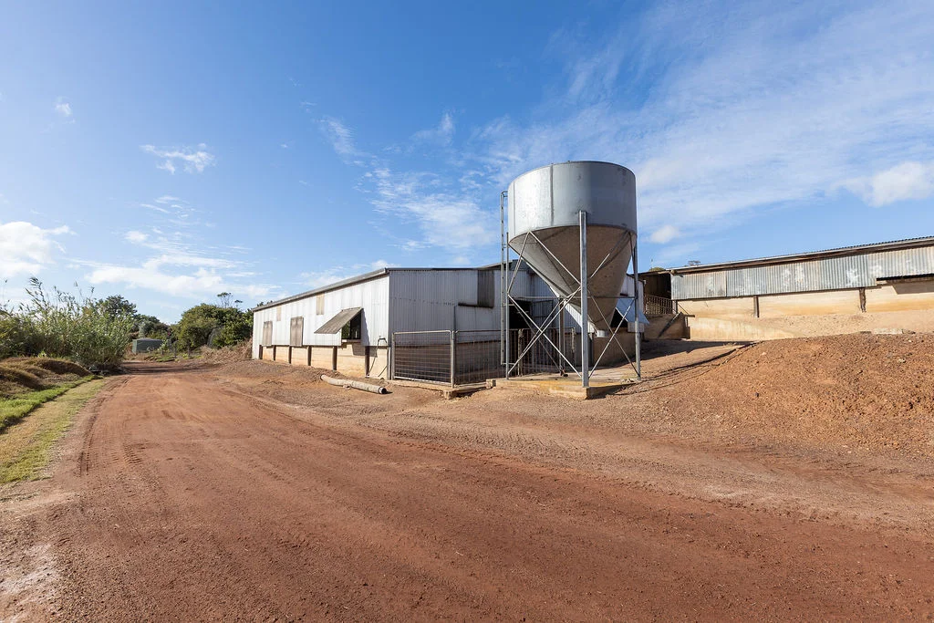 Additional image 26 of 52 Howards Road, Koppio SA 5607