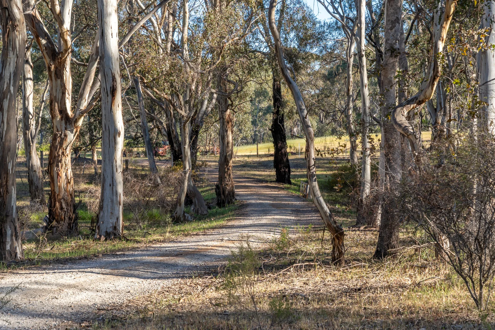 Additional image 9 of LOT 2/121 WATTLEVALE ROAD, Bailieston VIC 3608