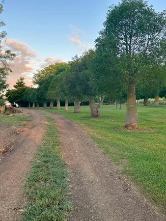 Additional image 14 of Burnett Highway, Three Moon, Monto QLD 4630