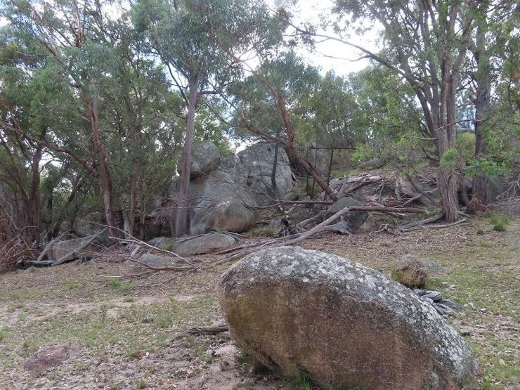 Additional image 6 of Lot 42 Ravensmoor Road, Stanthorpe QLD 4380