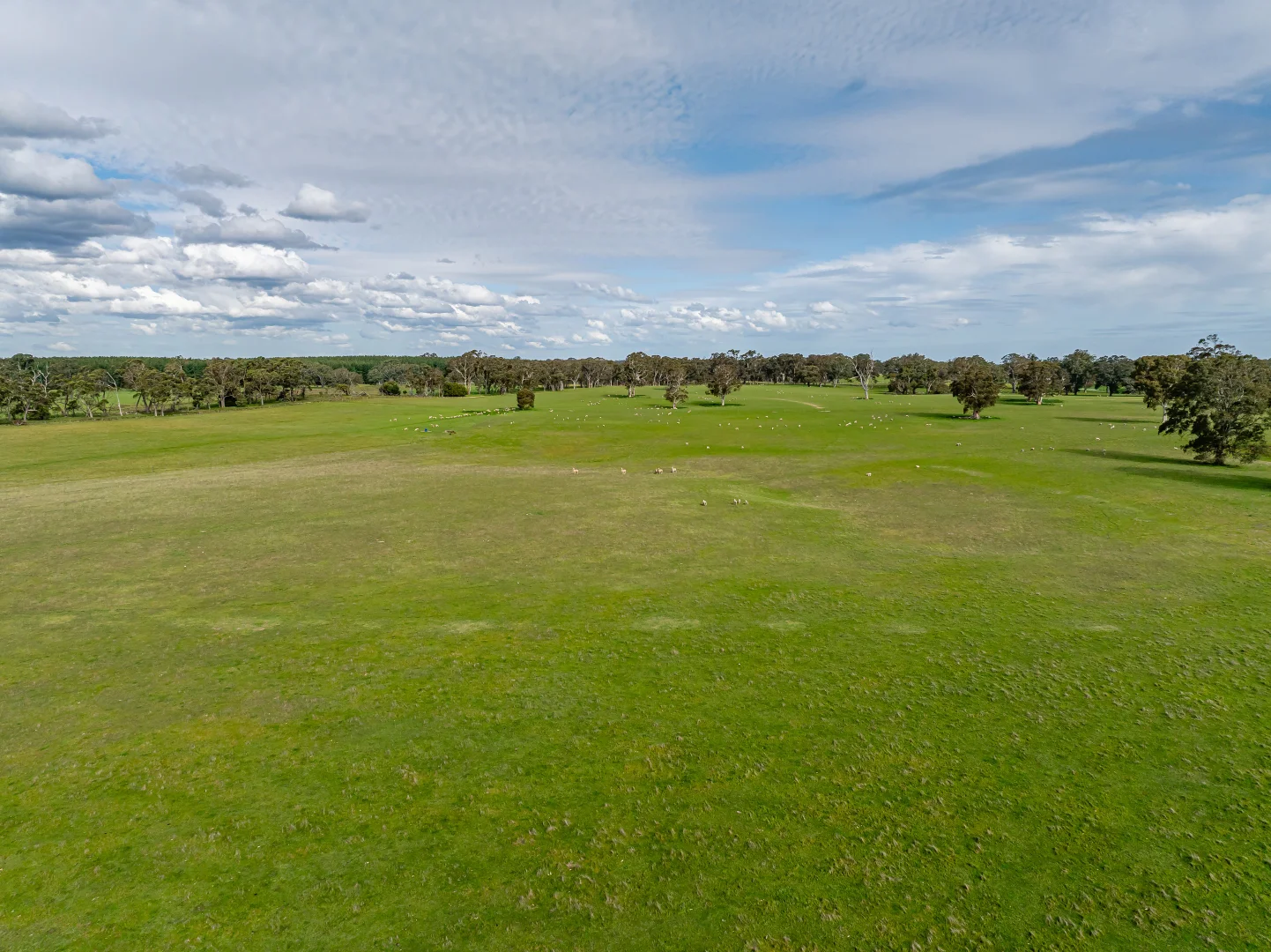 Additional image 20 of 219 Ockley Rd, Comaum SA 5277