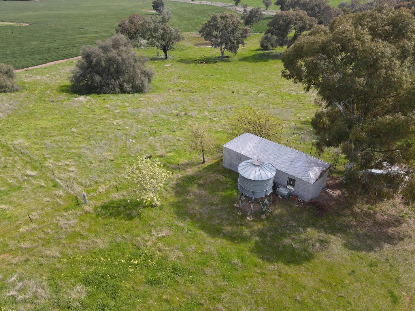 Additional image 21 of Woodstock NSW 2793