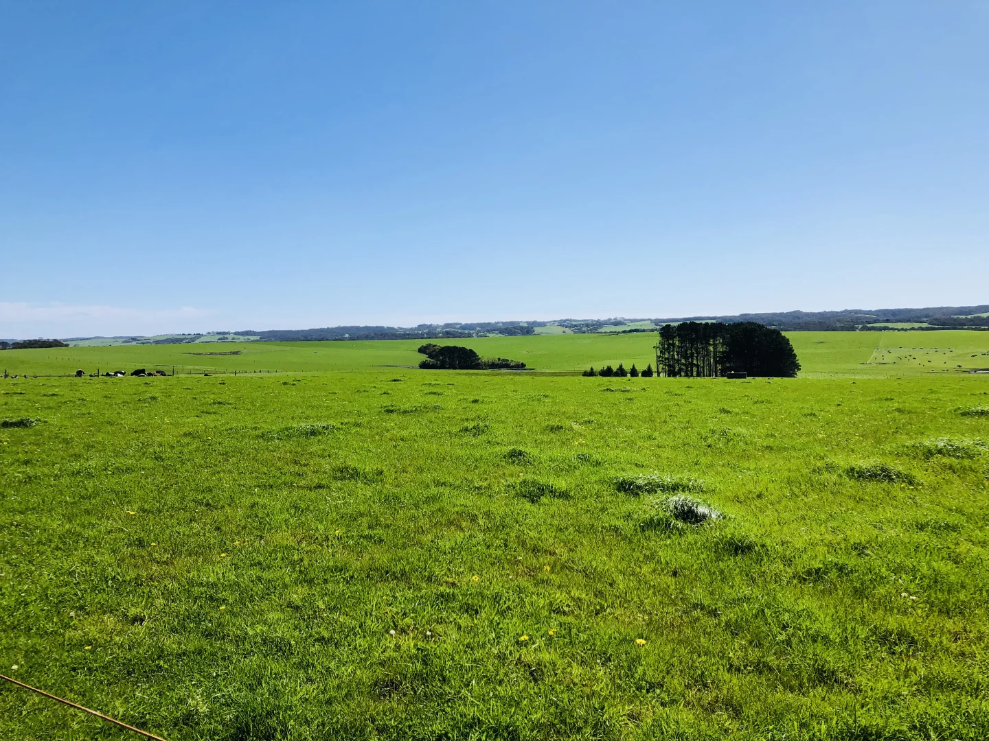 Additional image 22 of 2988 Meeniyan-Prom Rd, Yanakie VIC 3960