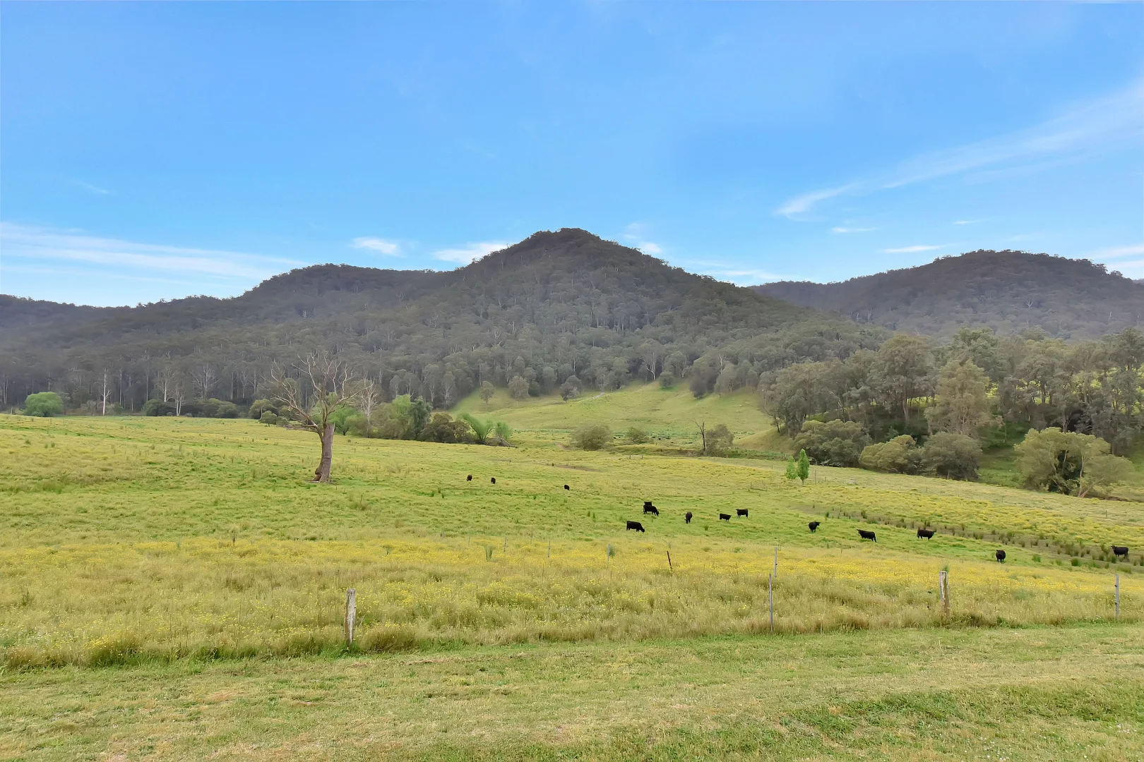 Additional image 26 of 1473 Watagan Creek Road, Laguna NSW 2325