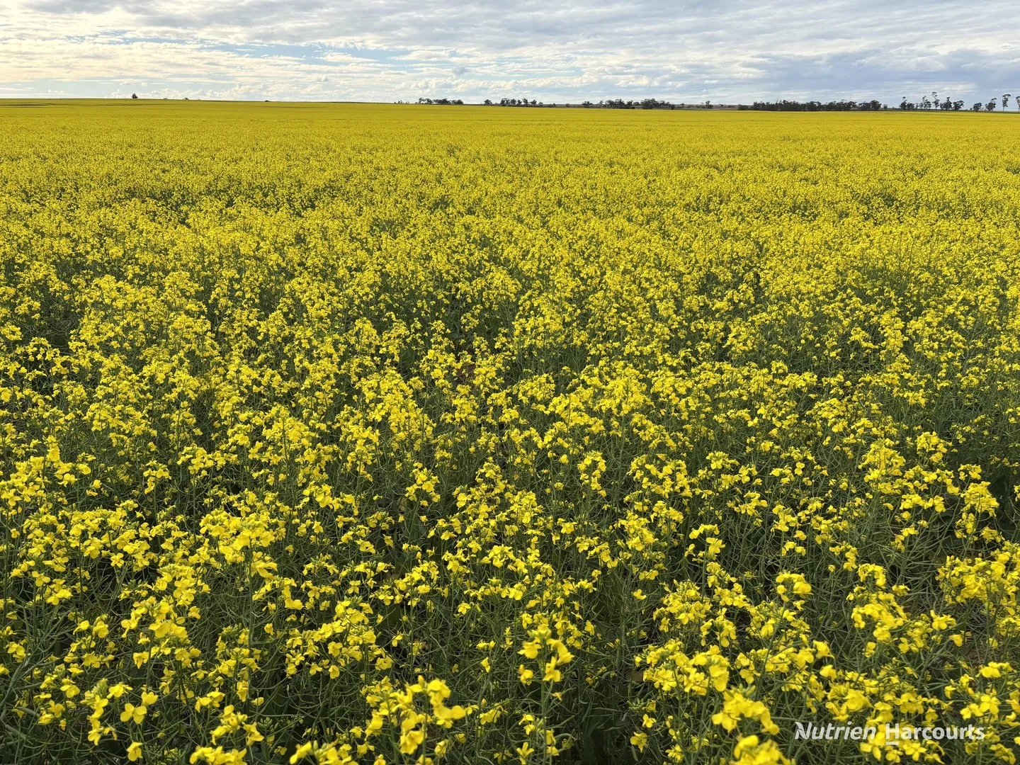 . 'Yetelling', Bencubbin WA 6477