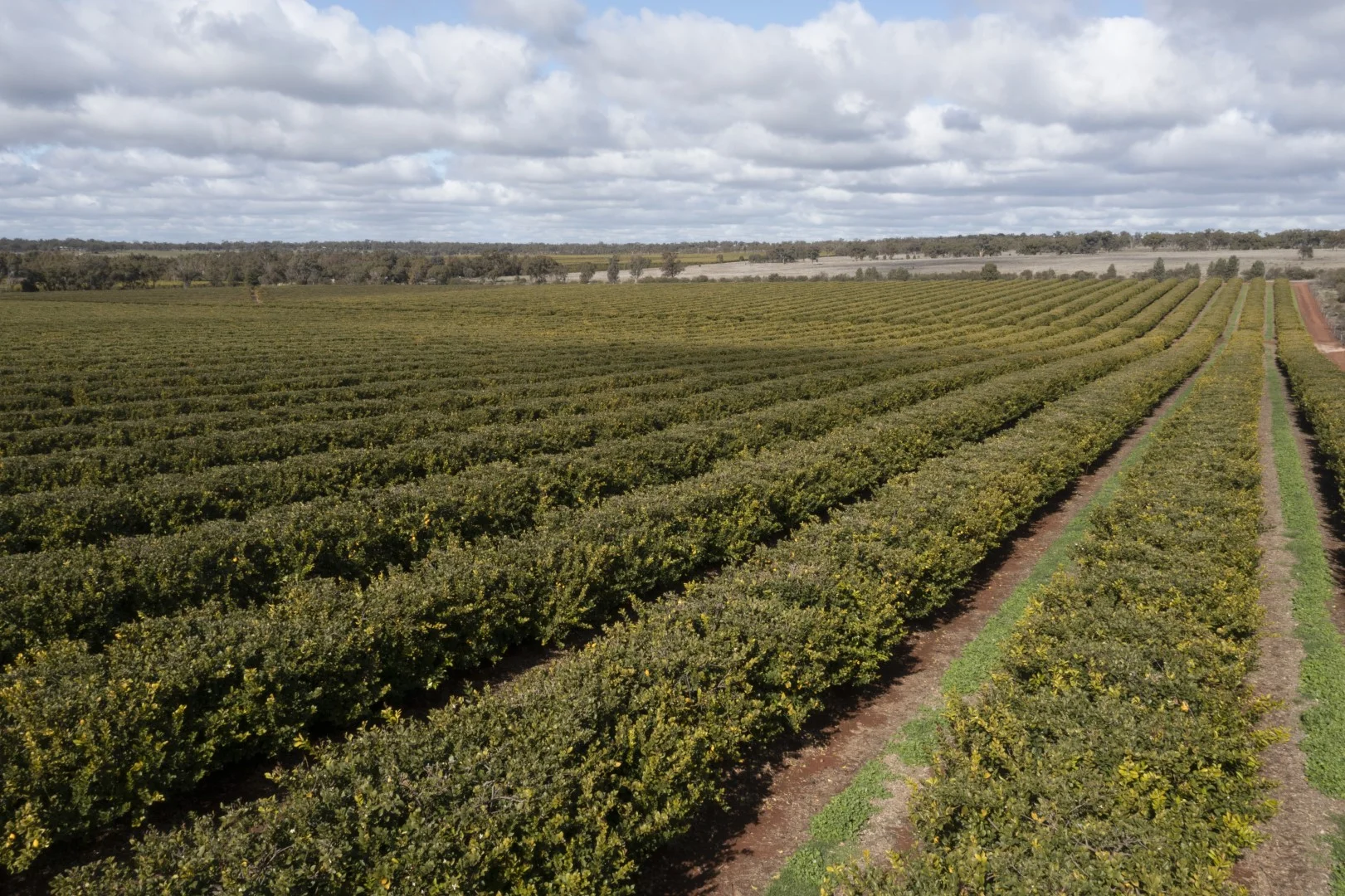 Additional image 7 of 203 Payten Road, Corbie Hill NSW 2705