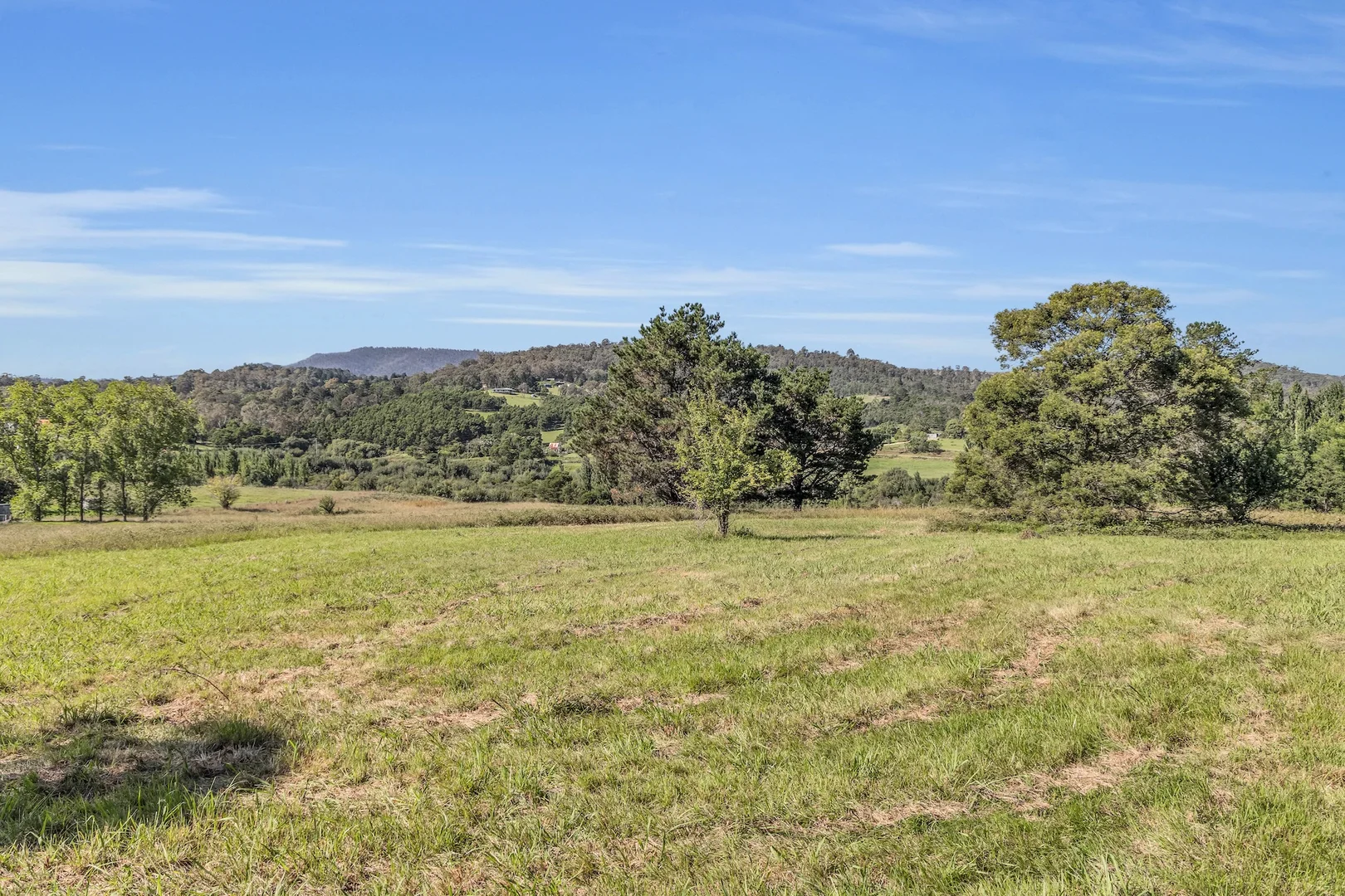 Additional image 8 of 2577 Towamba Road, Towamba NSW 2550