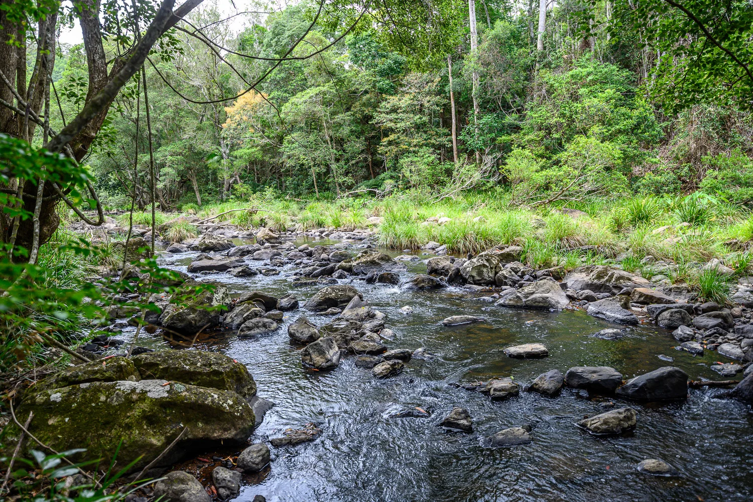 Additional image 46 of 86 Parmenters Road, Wilsons Creek NSW 2482