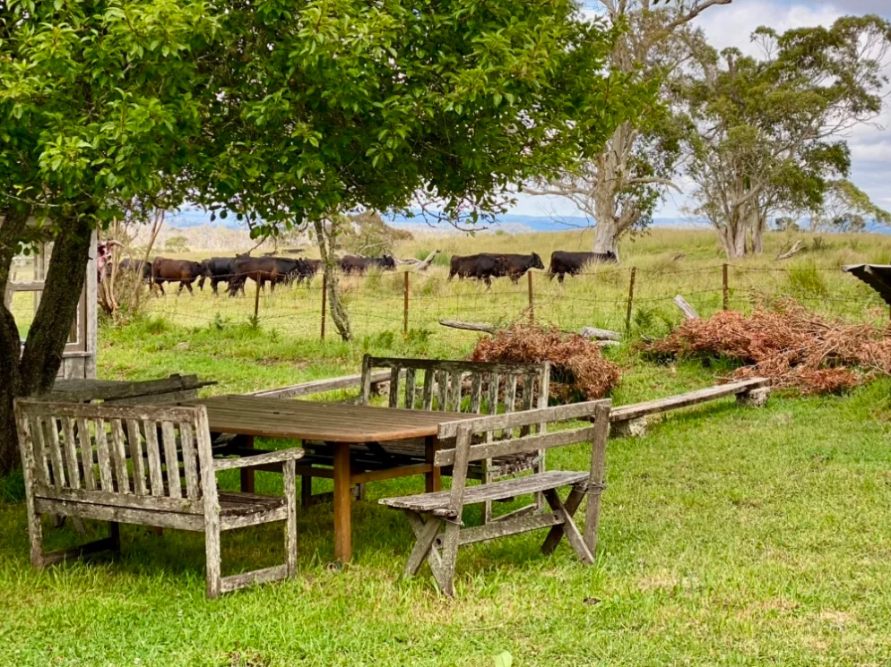 Additional image 22 of 10392 Armidale Road, Hernani NSW 2453