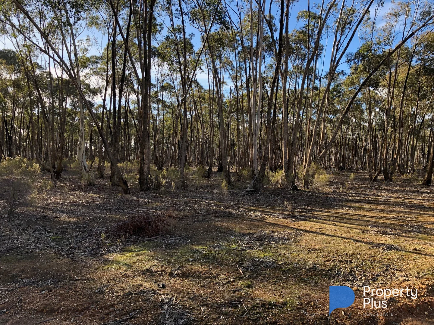 Additional image 13 of 59 Palmer Road, Simson VIC 3465