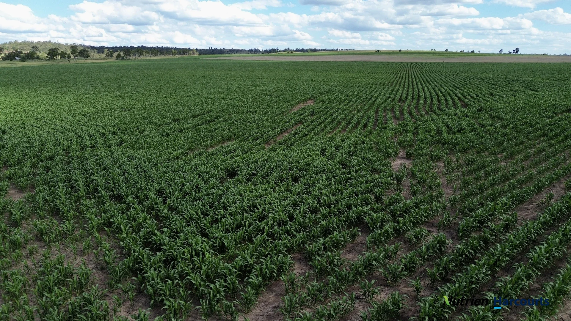 Additional image 28 of Lot 2 Reedy Creek Road, Benair QLD 4610