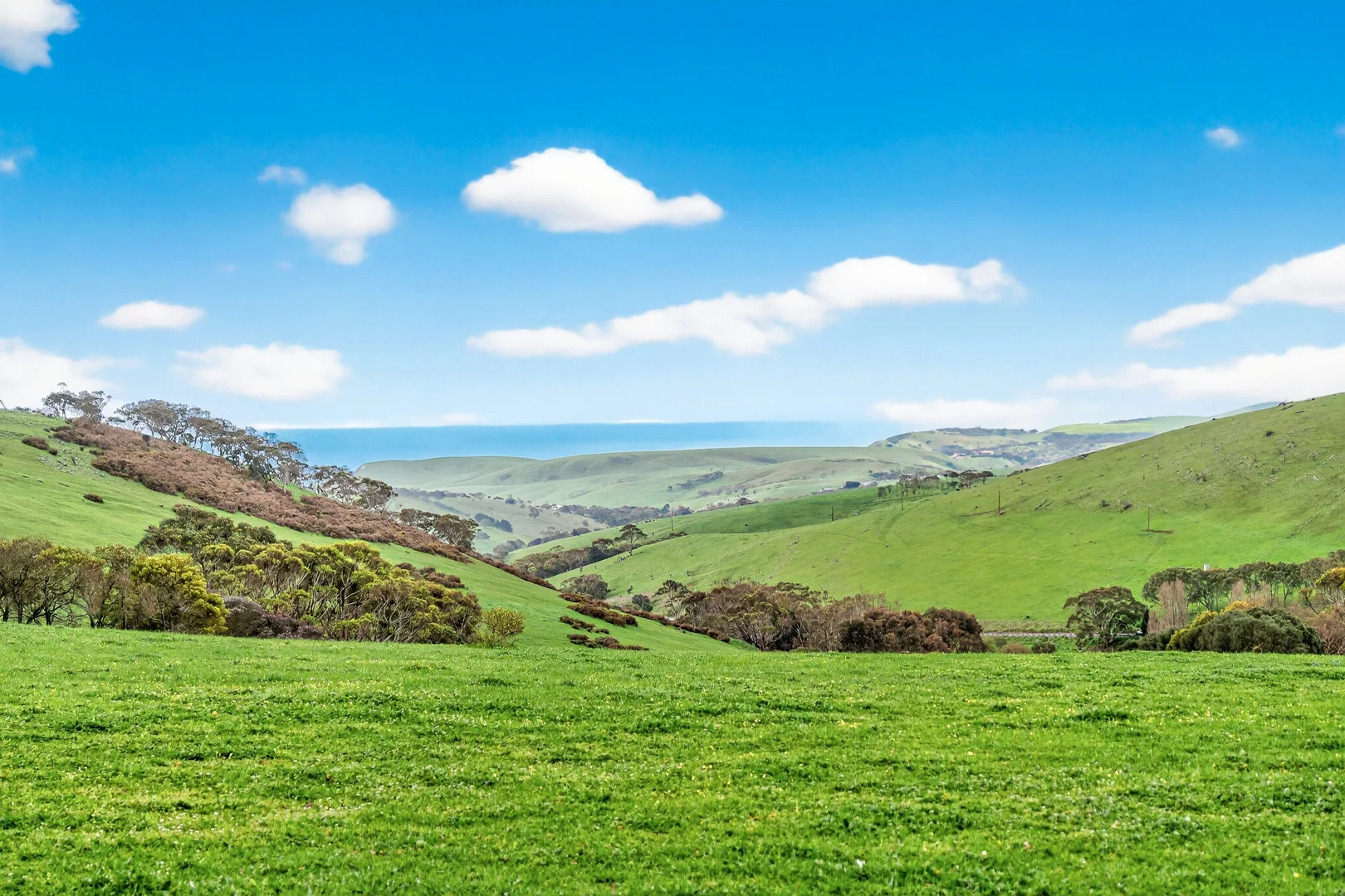 Additional image 45 of 8178 Main South Road, Delamere SA 5204