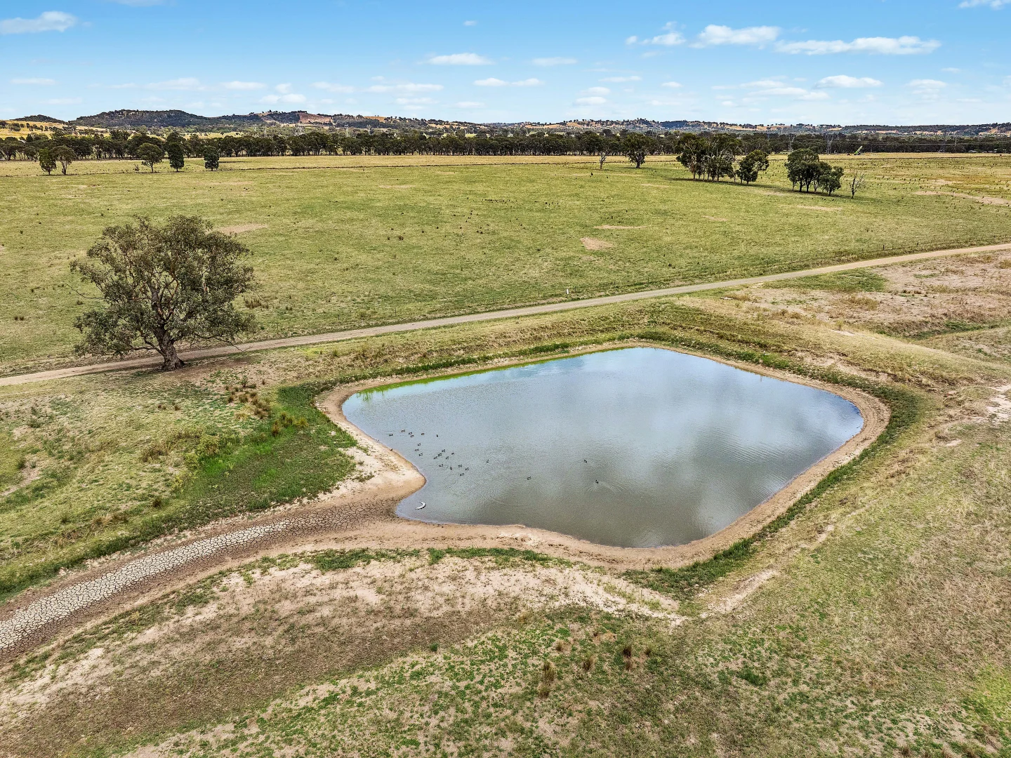 Additional image 8 of 301 Boiling Down Road, Rowan NSW 2650