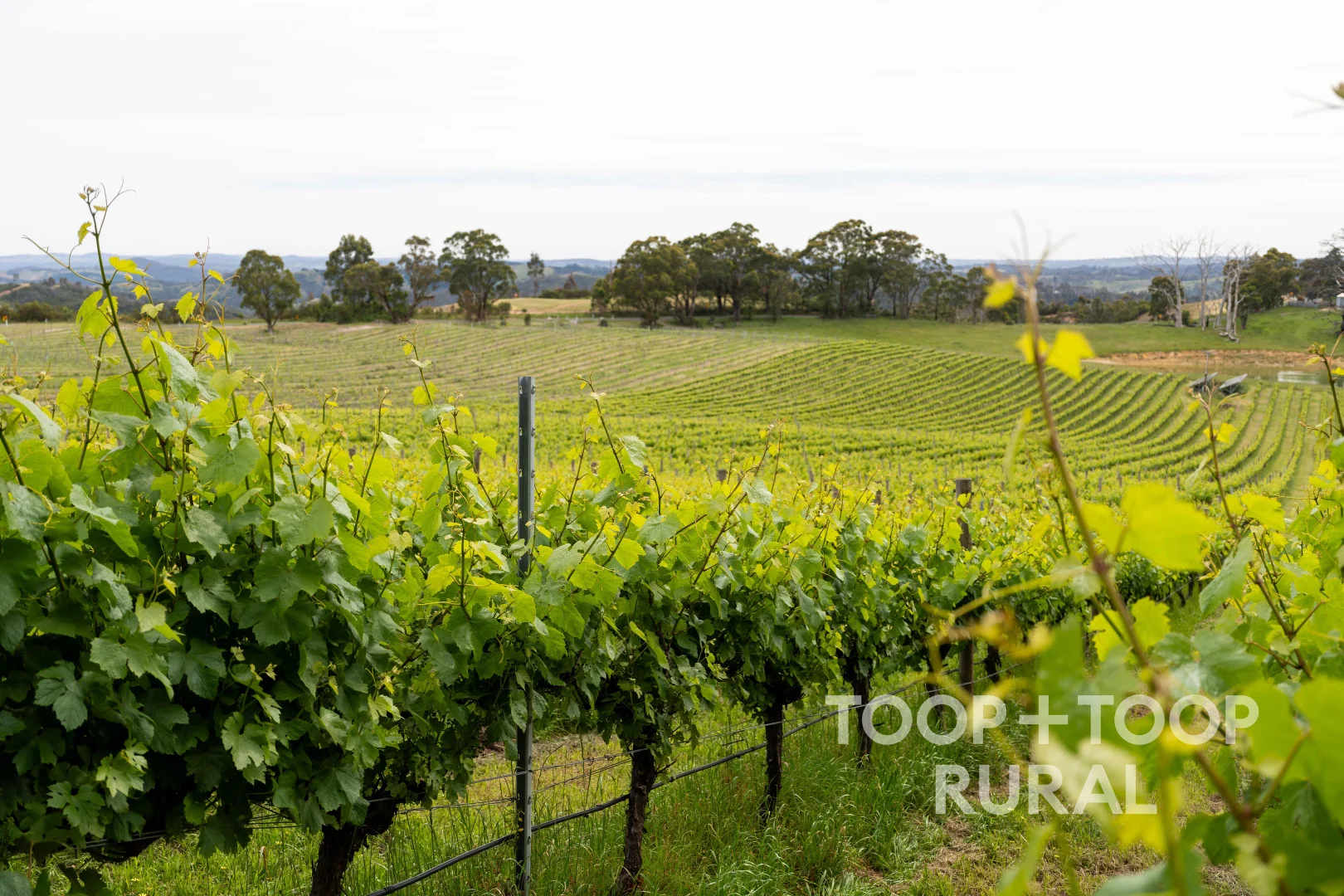 Additional image 19 of 407 Croft Road, Lenswood SA 5240