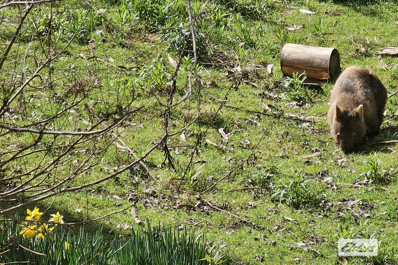 Additional image 18 of Sisters Road, Gormandale VIC 3873