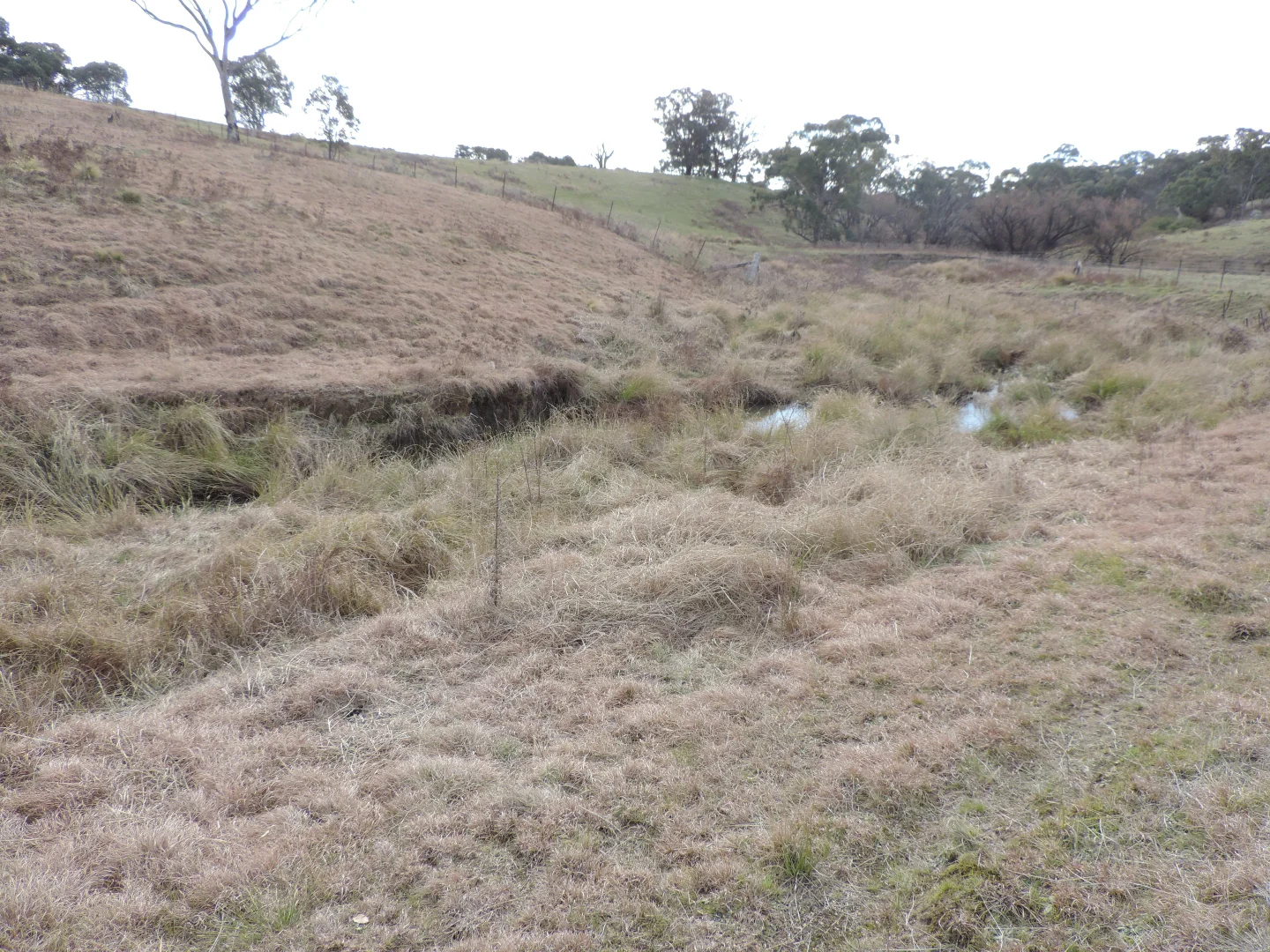 Additional image 8 of 26 Hailstone Street, Bigga NSW 2583