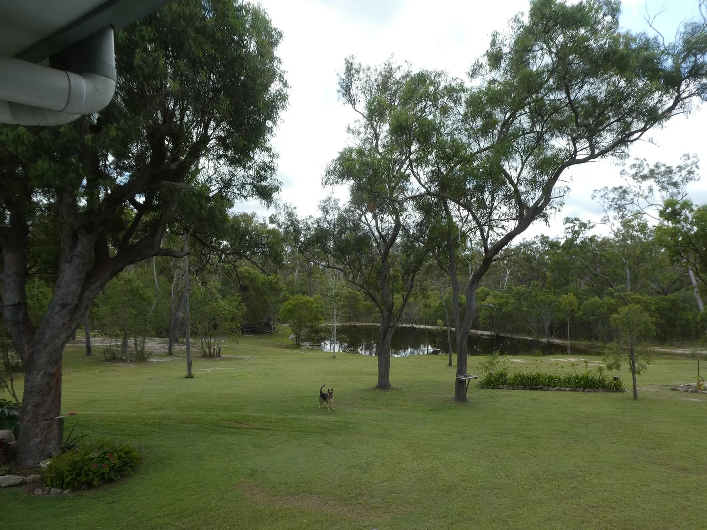 Additional image 23 of 6002 Isis Highway, Kullogum QLD 4660