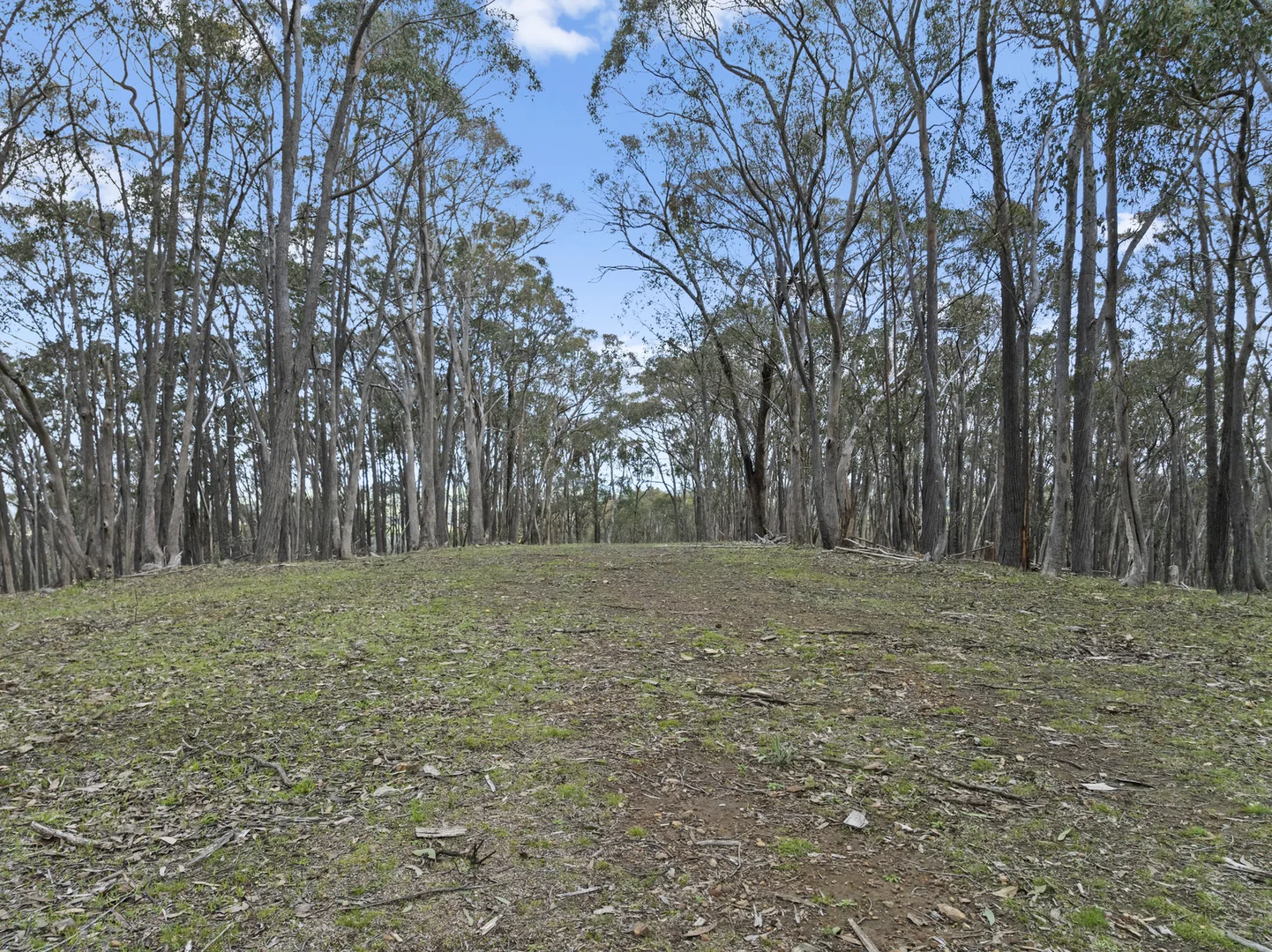 Additional image 27 of 2695 Merton-Euroa Road, Merton VIC 3715