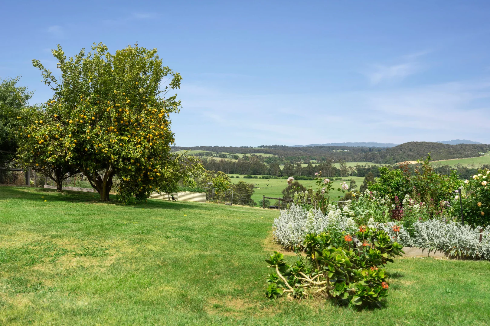 Additional image 22 of 772 Healesville-Koo Wee Rup Road, Woori Yallock VIC 3139