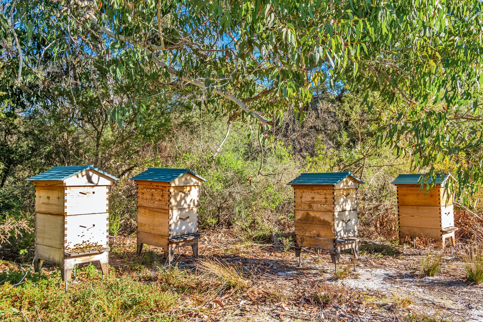 Additional image 24 of 78 Owenia Way, Broken Head NSW 2481