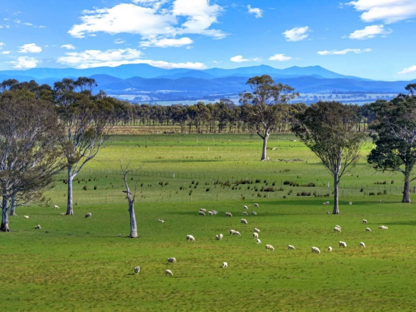 Additional image 5 of 1380 Princes Highway, Hillside VIC 3875