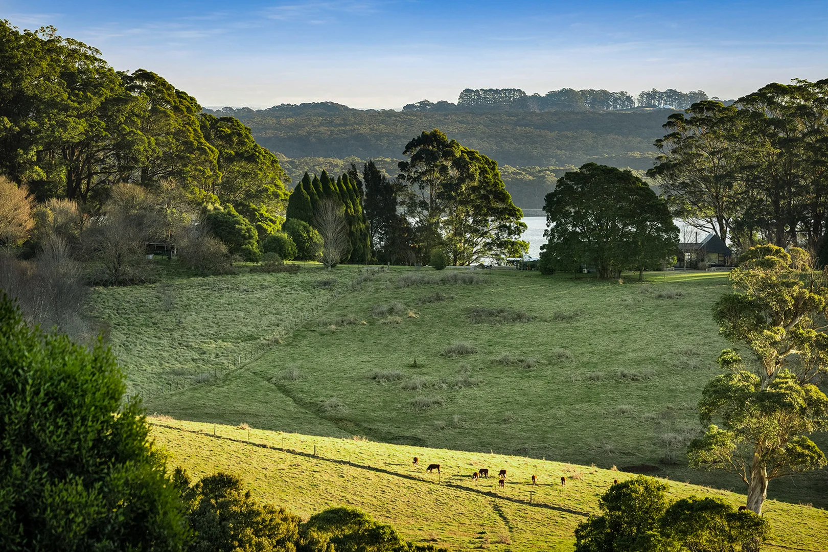 Additional image 3 of 421 Myra Vale Road, Wildes Meadow NSW 2577