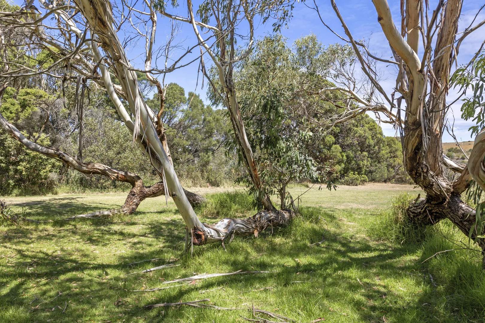 Additional image 10 of 37 Glenvale Road, Flinders VIC 3929