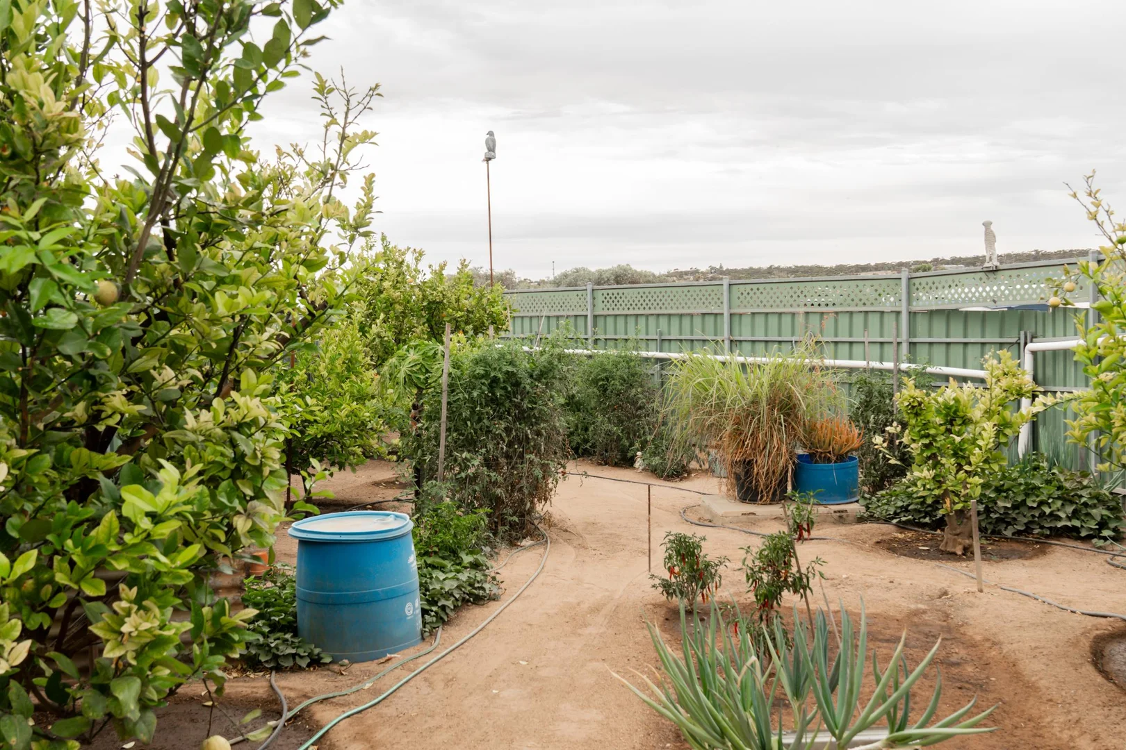 Additional image 8 of 19 Herbert Edwards Drive, Streaky Bay SA 5680