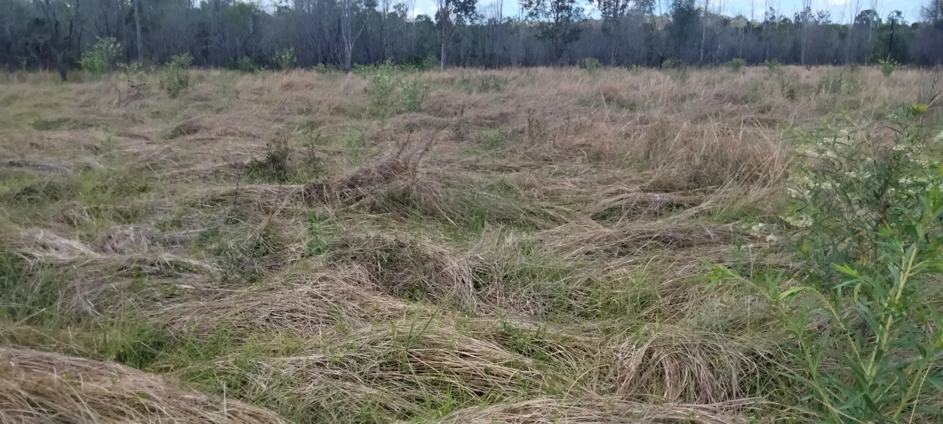 Additional image 41 of 3359 Lowmead Road, Lowmead QLD 4676