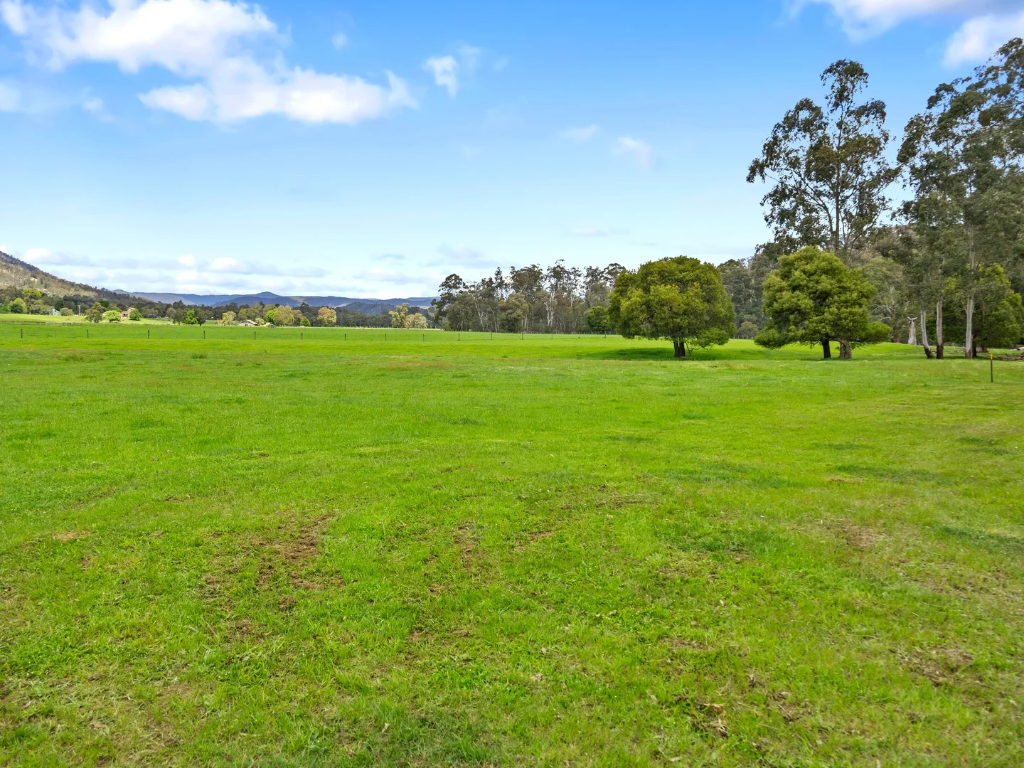 Additional image 6 of 2339 Maroondah Highway, Buxton VIC 3711