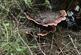 Additional image 2 of Maudland, Rhos, Carmarthenshire SA33