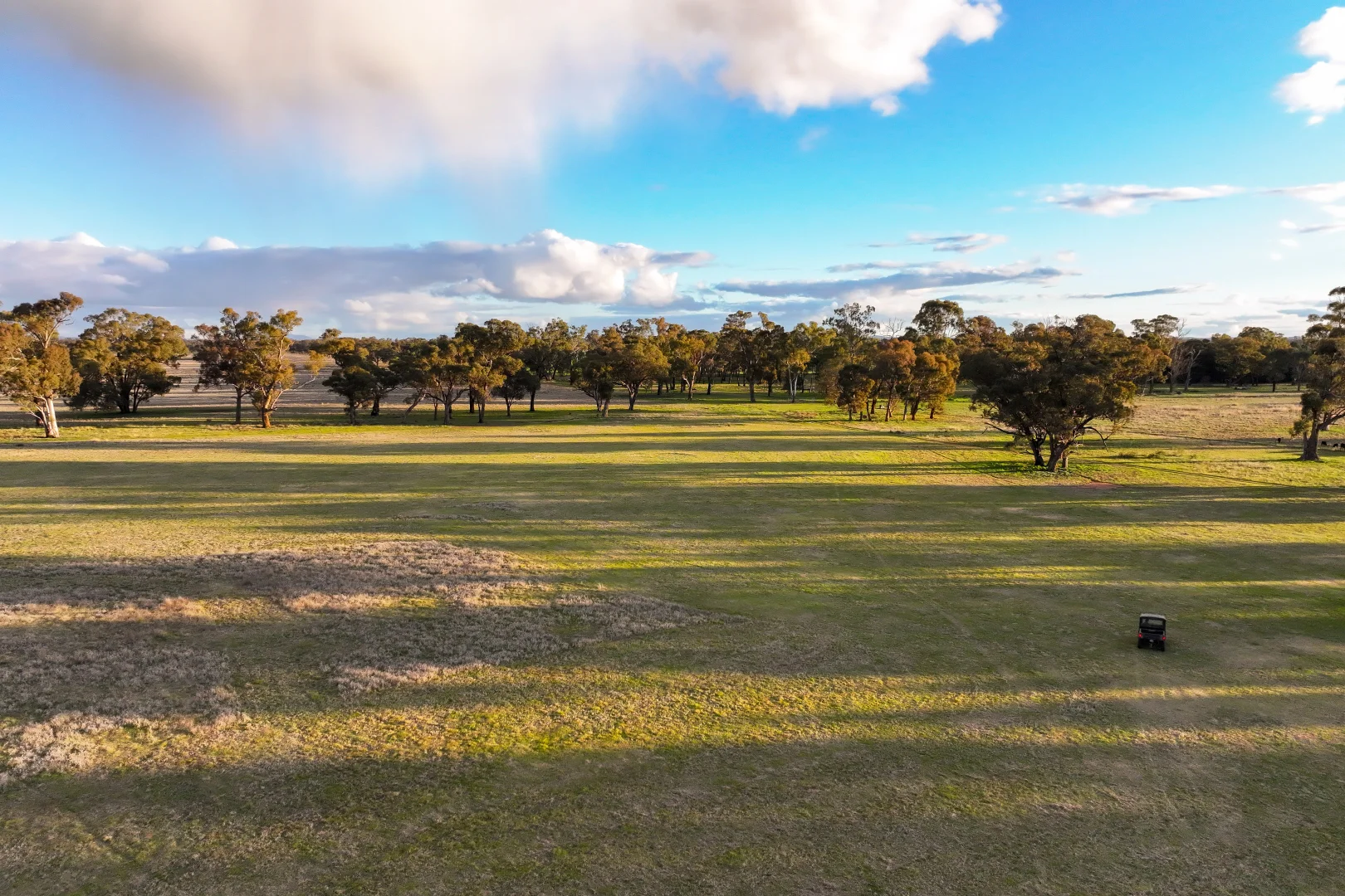 Additional image 34 of 1843 Yeo Yeo Hampstead Road, Young NSW 2594