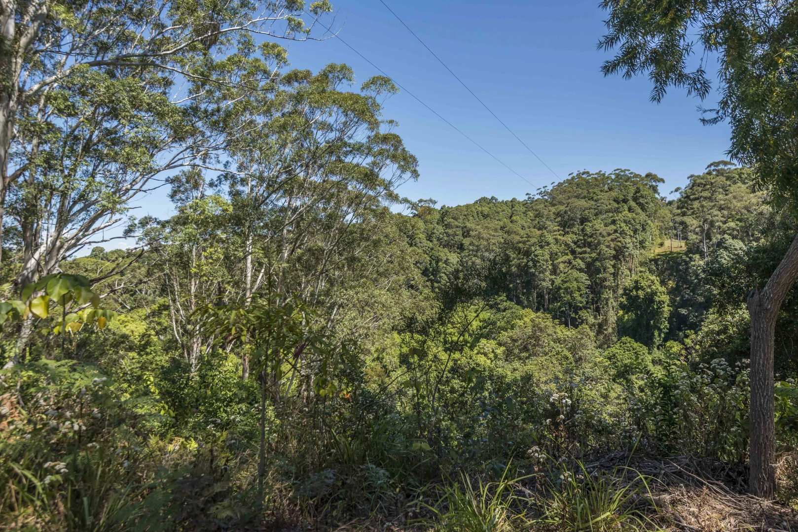 Additional image 34 of 76 Maso Road, Repentance Creek NSW 2480