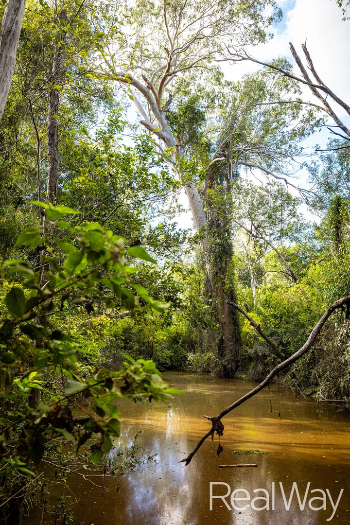 Additional image 15 of 2 Jacksons Road, South Isis QLD 4660