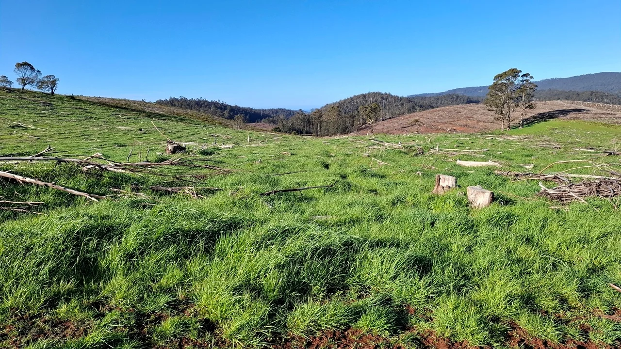 Additional image 18 of 108 Weeks Road, Barrington TAS 7306