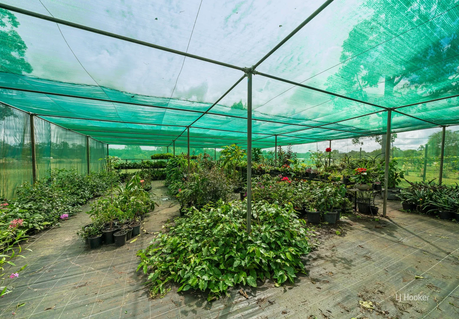 Additional image 34 of 57 Ogilvie Road, Blackbutt South QLD 4314