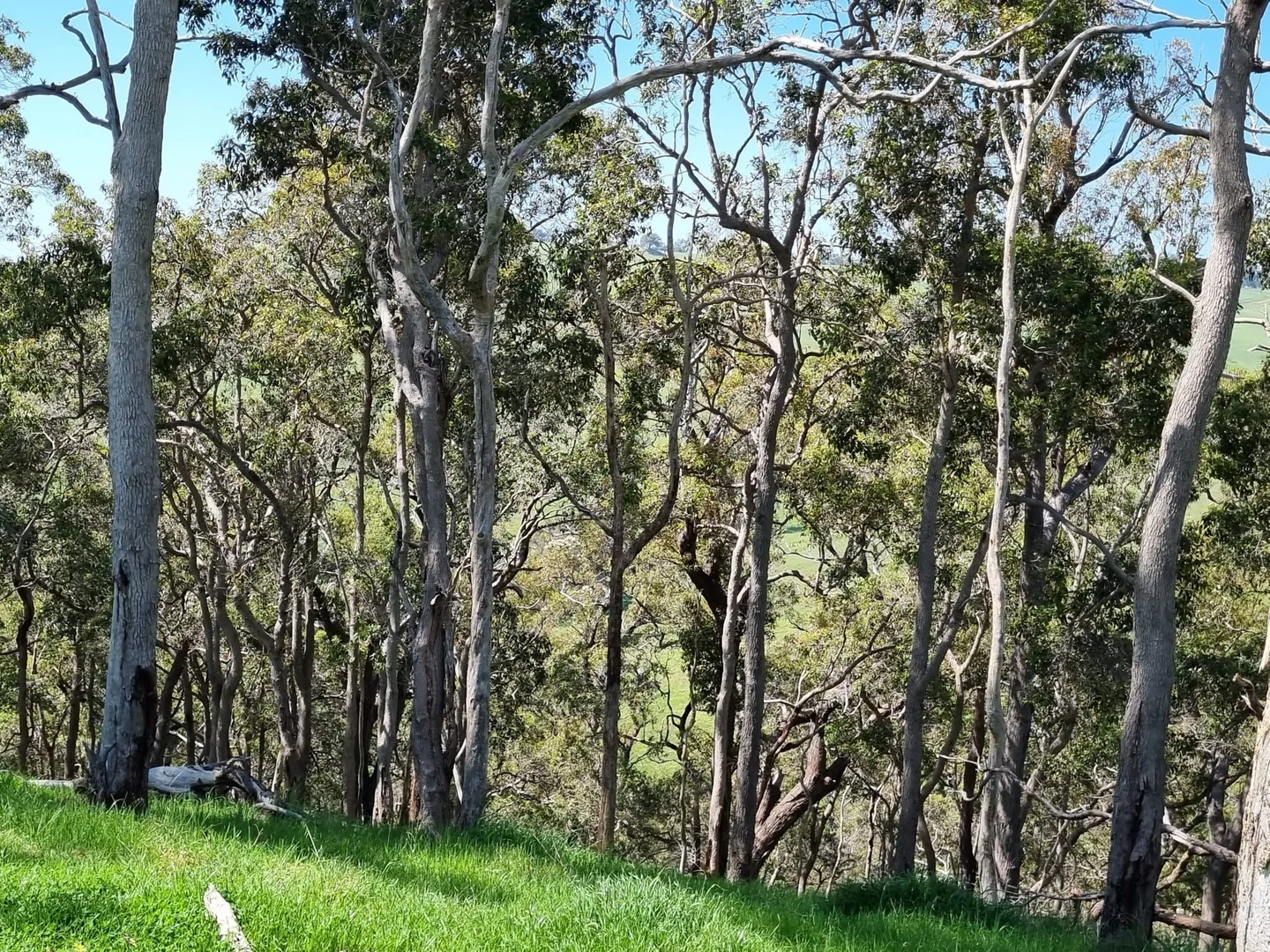 Additional image 10 of Lot 8 Catalano Road, Burekup WA 6227