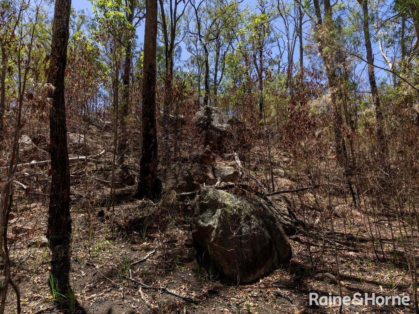 Additional image 13 of 37 Habbermans Road, Gaeta QLD 4671