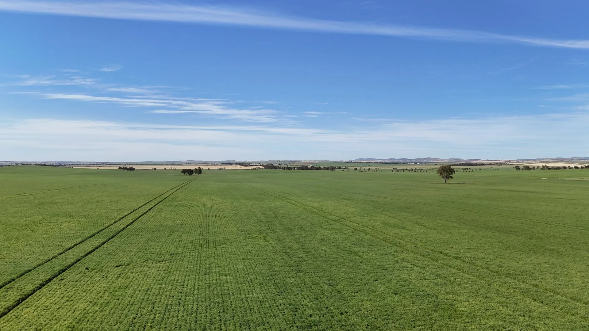 Additional image 3 of 'Pinefield' 186 Catford Rd, Appila SA 5480