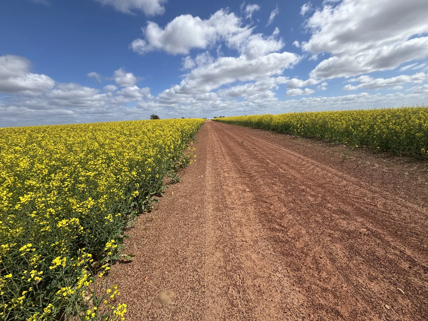 Additional image 17 of 1105 Coorow-Greenhead Road, Coorow WA 6515