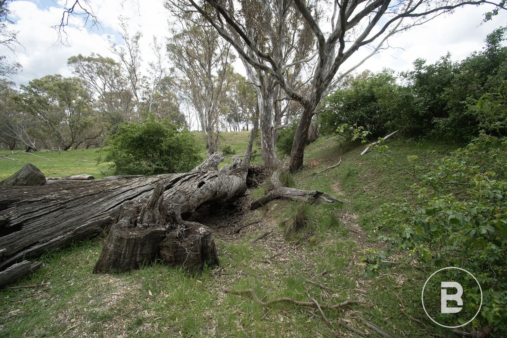 Additional image 10 of 77 Racecourse Road, Redbank VIC 3477