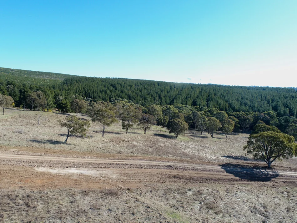 Additional image 14 of 1173 Cargo Road, Lidster NSW 2800