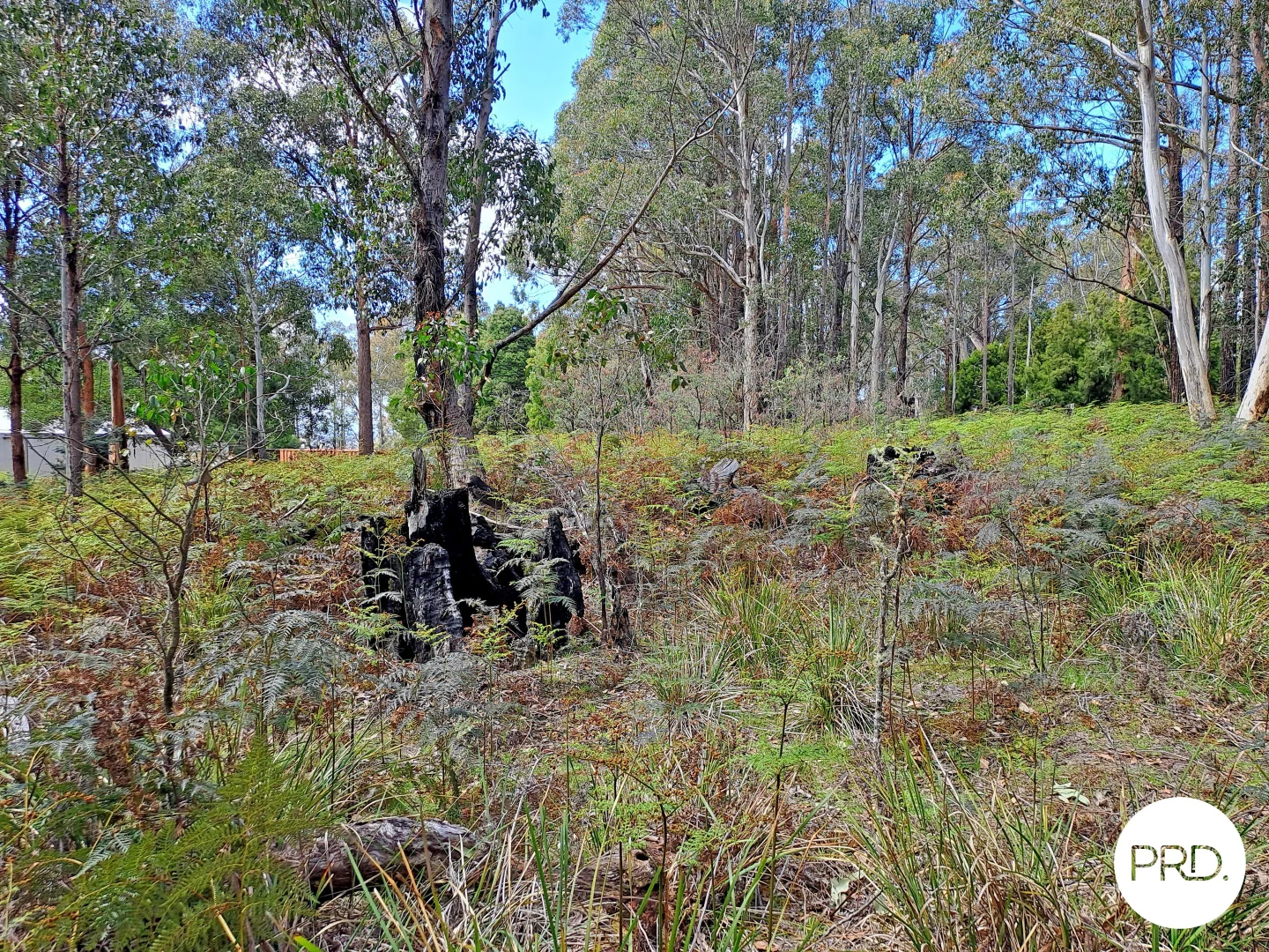 Additional image 11 of Lot 1 Ellendale Road, Ellendale TAS 7140