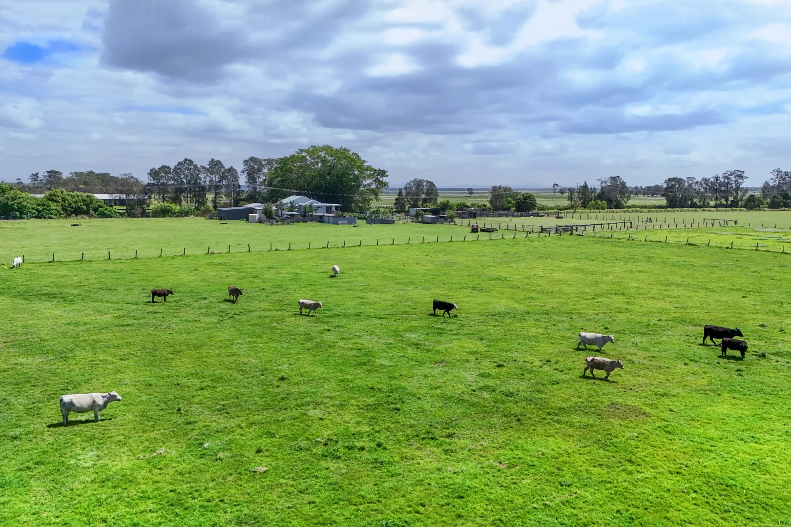 Additional image 33 of 1415 Belmore River Right Bank Road, Belmore River NSW 2440