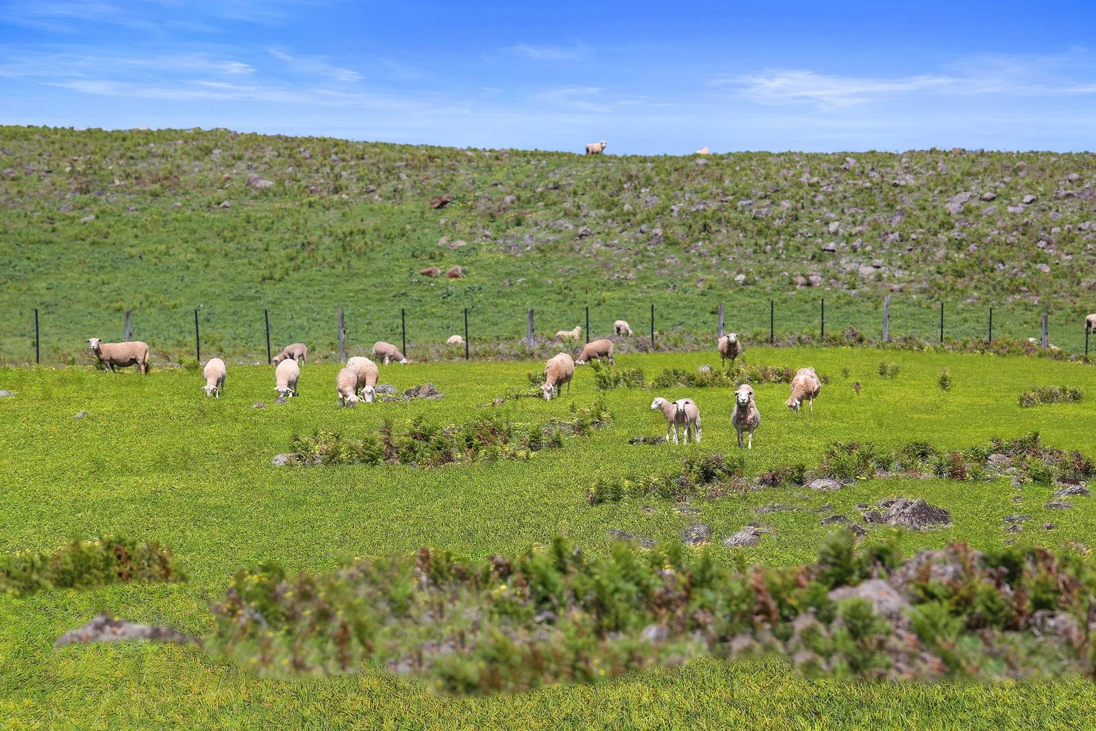 Additional image 15 of 236 Fingerboard Road, Yambuk VIC 3285
