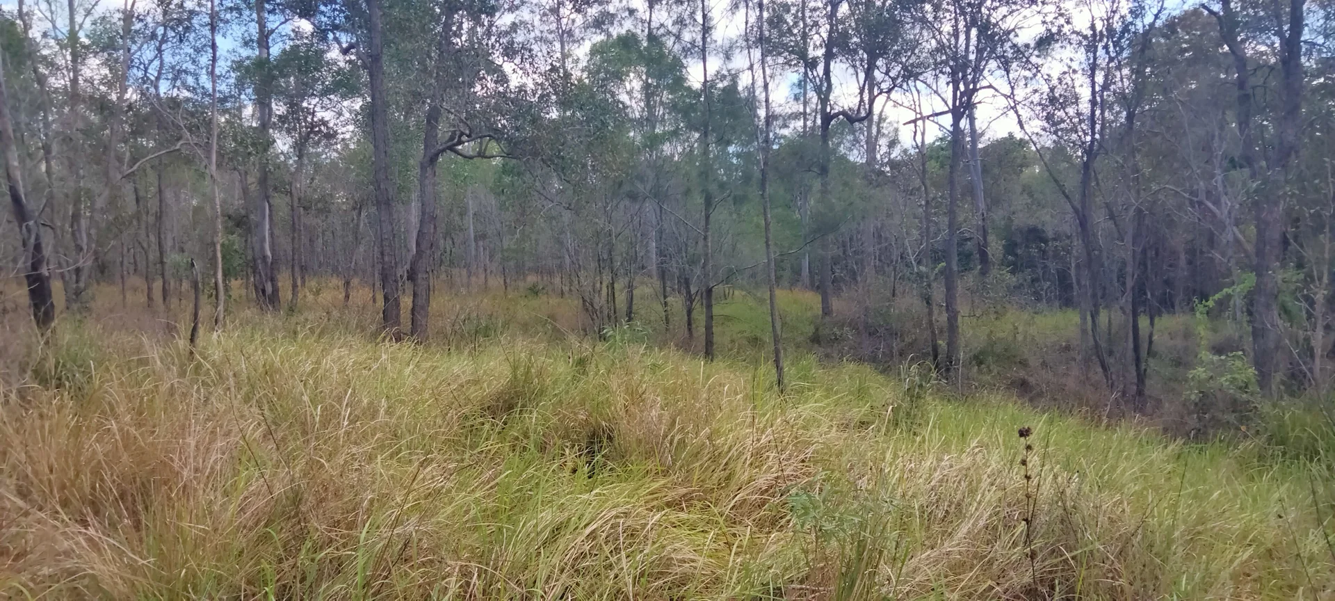 Additional image 18 of 3359 Lowmead Road, Lowmead QLD 4676