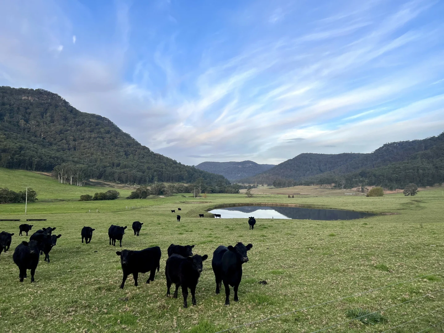 Additional image 6 of 1473 Watagan Creek Road, Laguna NSW 2325